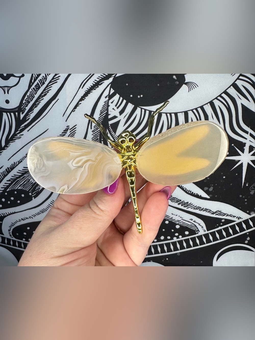 Agate Slice Dragonfly - Natural